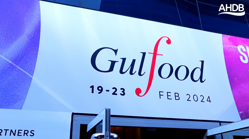 Gulfood Videography And Photography Coverage